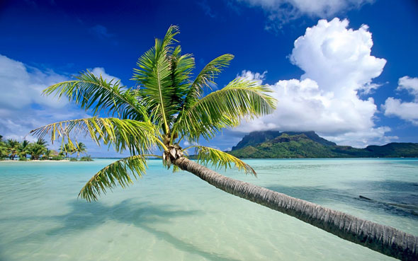 Bora Bora - LuxeTentations.fr