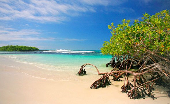 Galapagos - LuxeTentations.fr