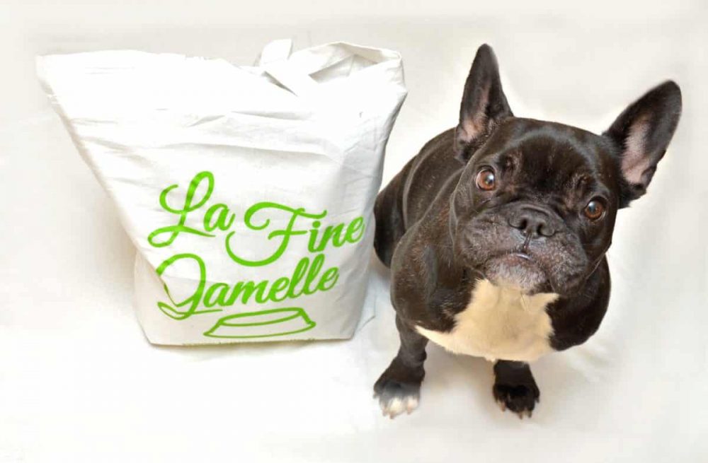 La Fine Gamelle, des menus gourmets pour chiens urbains