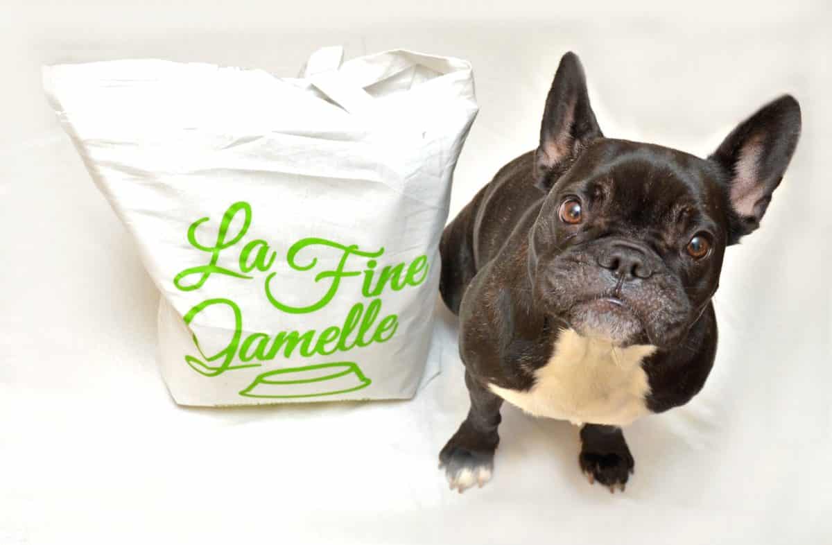 La Fine Gamelle, des menus gourmets pour chiens urbains