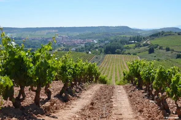 marques de caceres luxe tentations