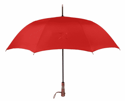 Parapluie de Cherbourg