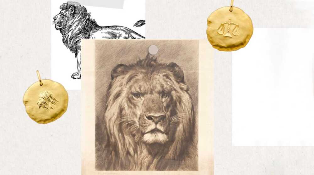 signes du zodiaque lion