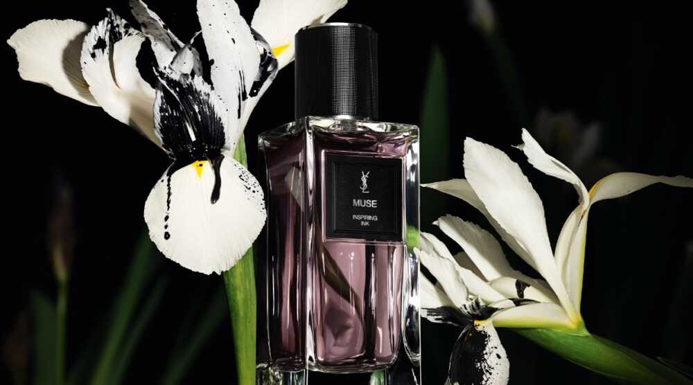 Muse fragrance 