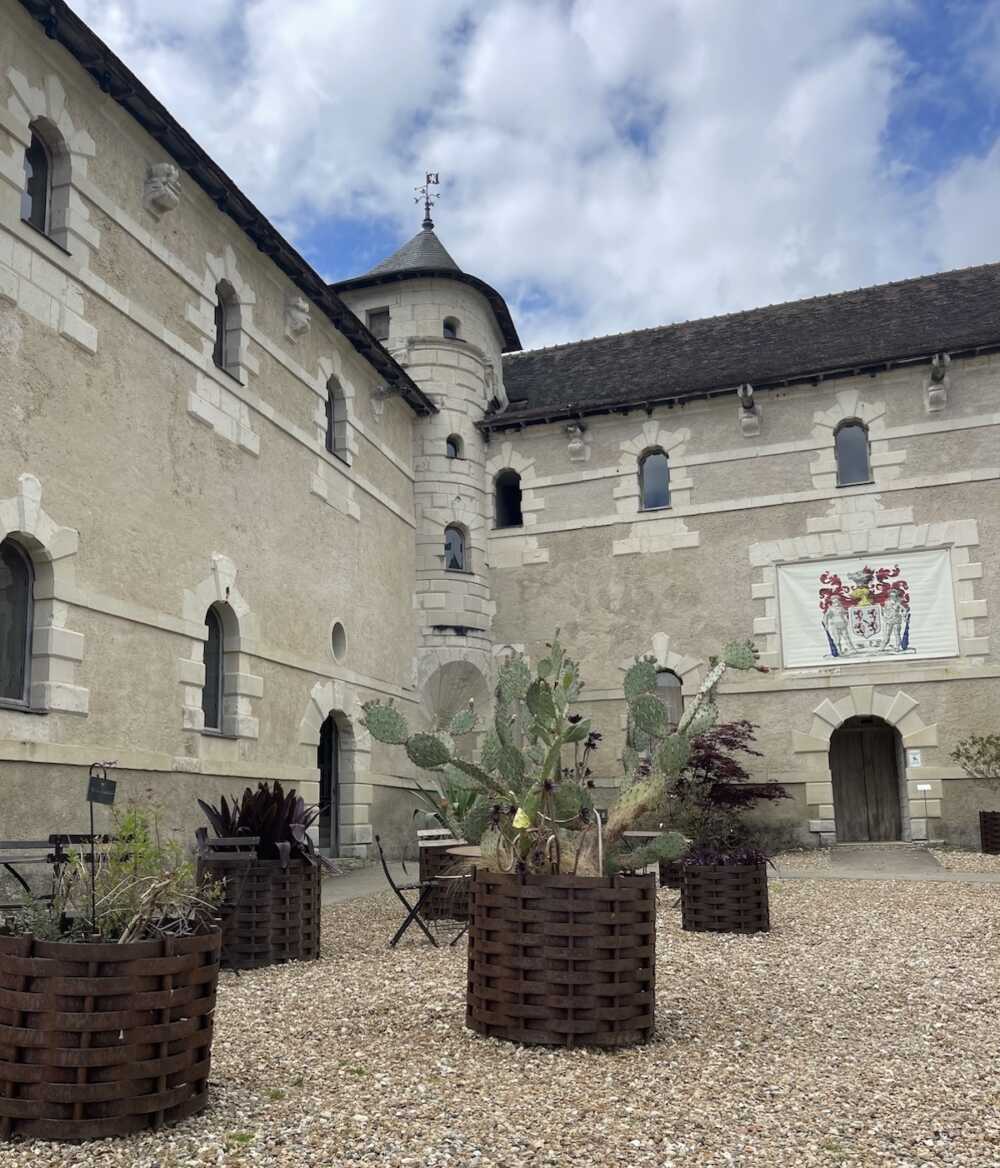 Patricia Laigneau cour