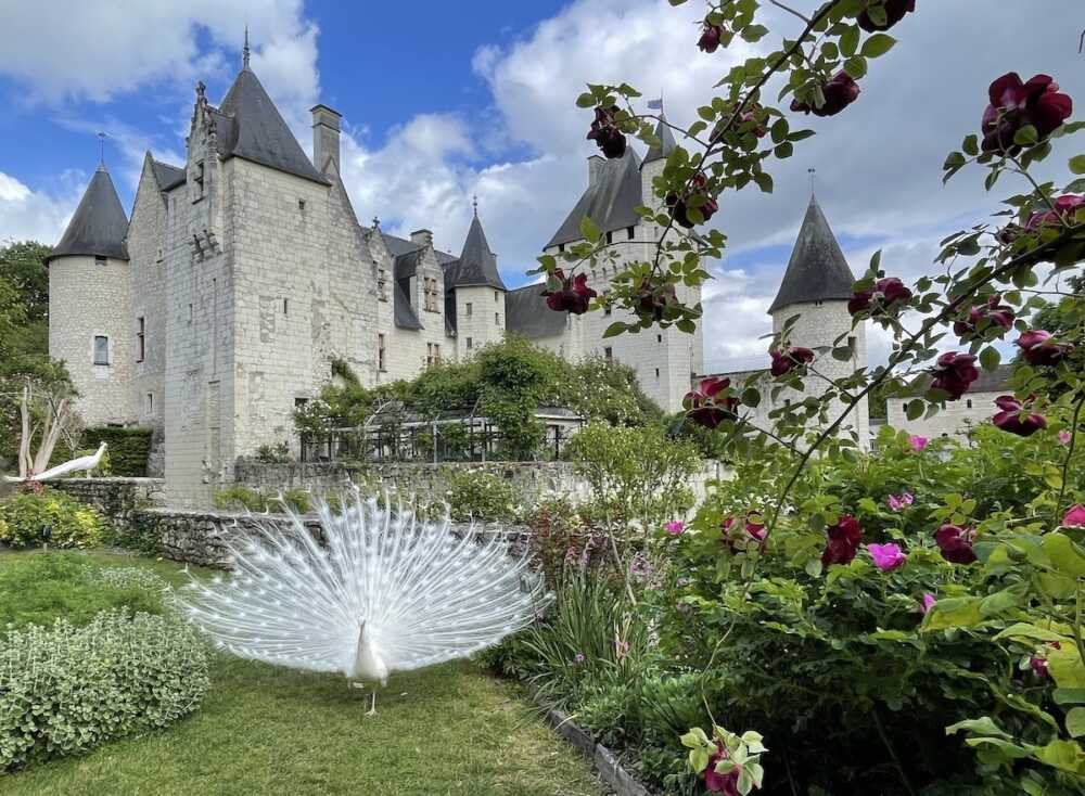 Patricia Laigneau jardin