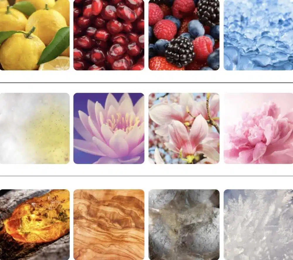 Bright Crystal Parfum une famille olfactive florale fruitée