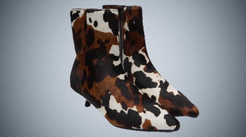 léopard bottines Paula