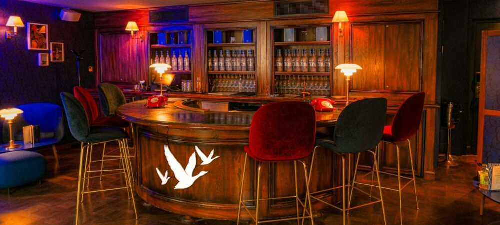 Grey Goose : entrée