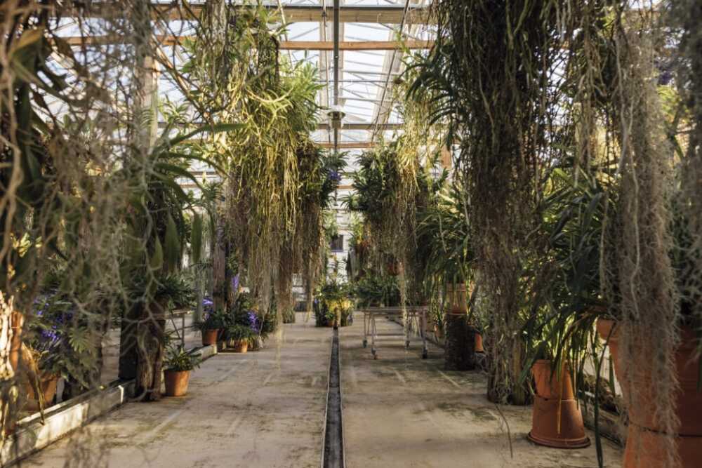 Orchidarium