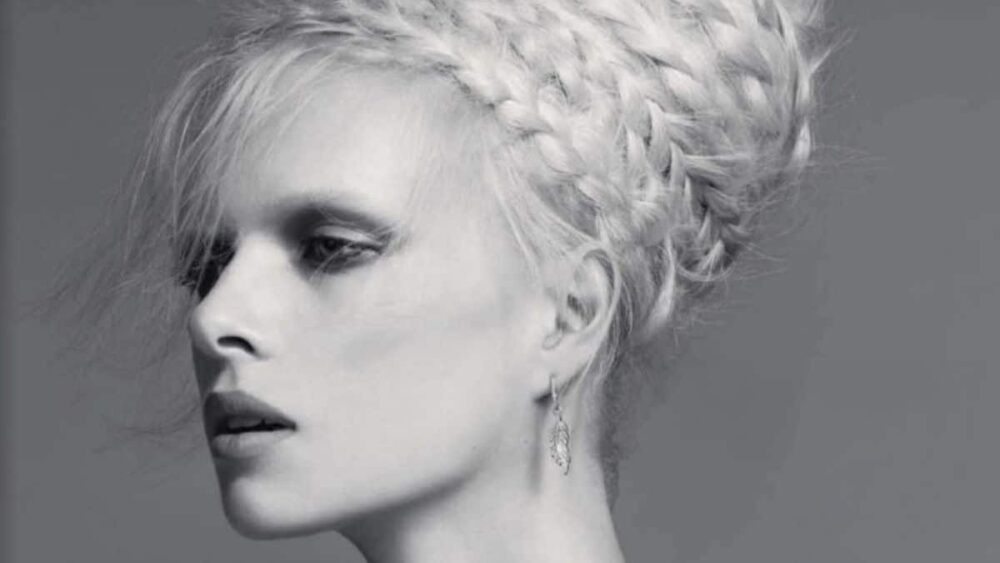 le chignon John Nollet
