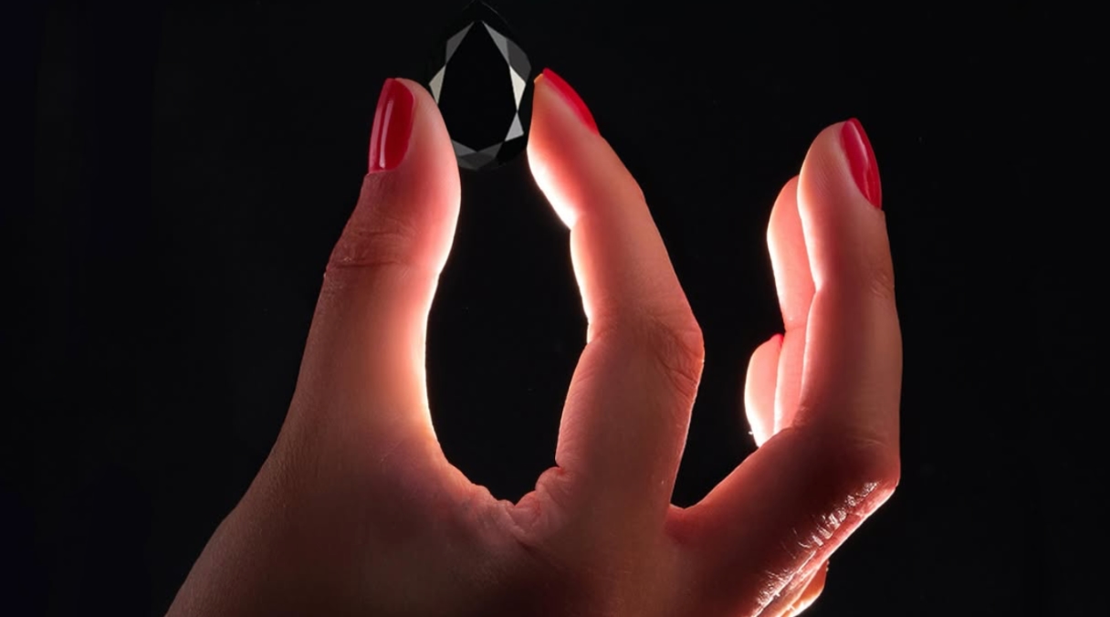 Le diamant noir, nouvelle star de La Brune &amp; La Blonde