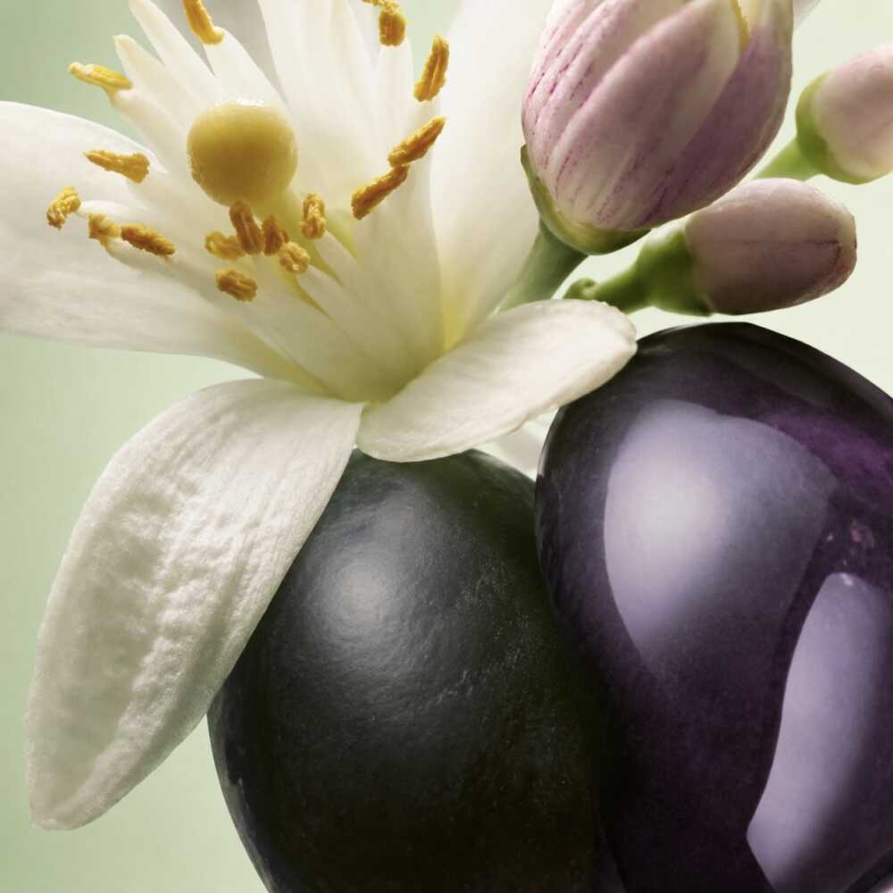 une fragrance gourmande et pétillante signée Prada