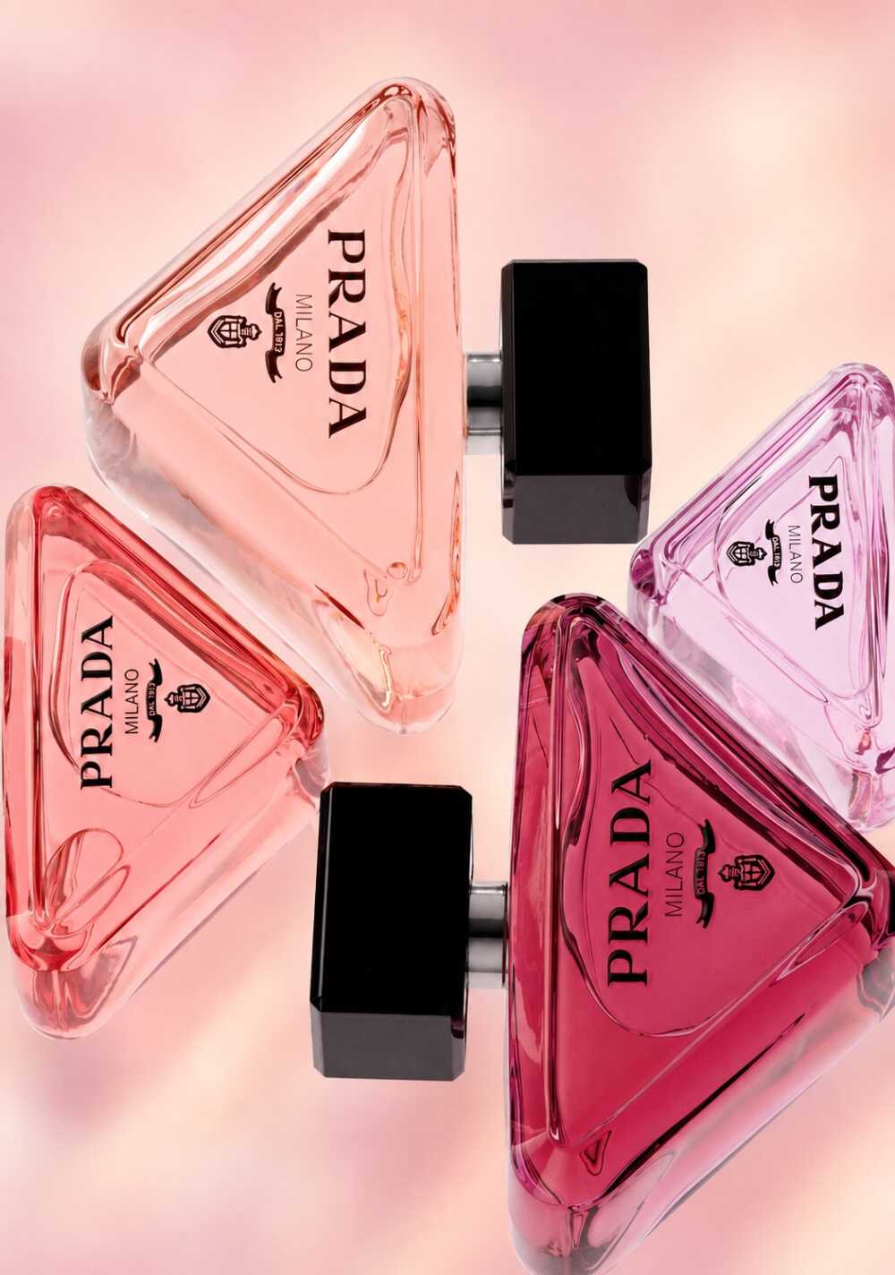 Sweet Chemistry la collection